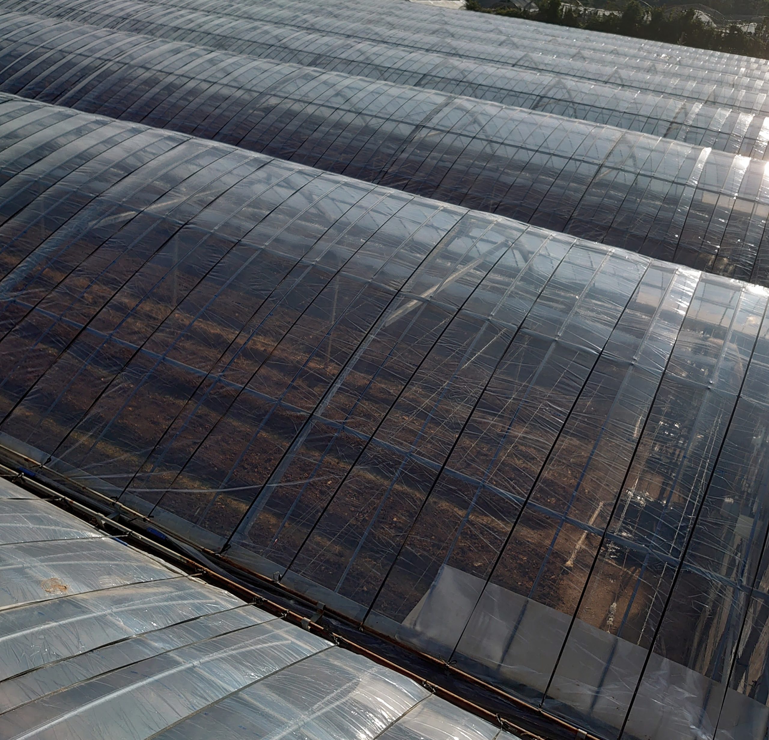 農業のイメージってどうですか