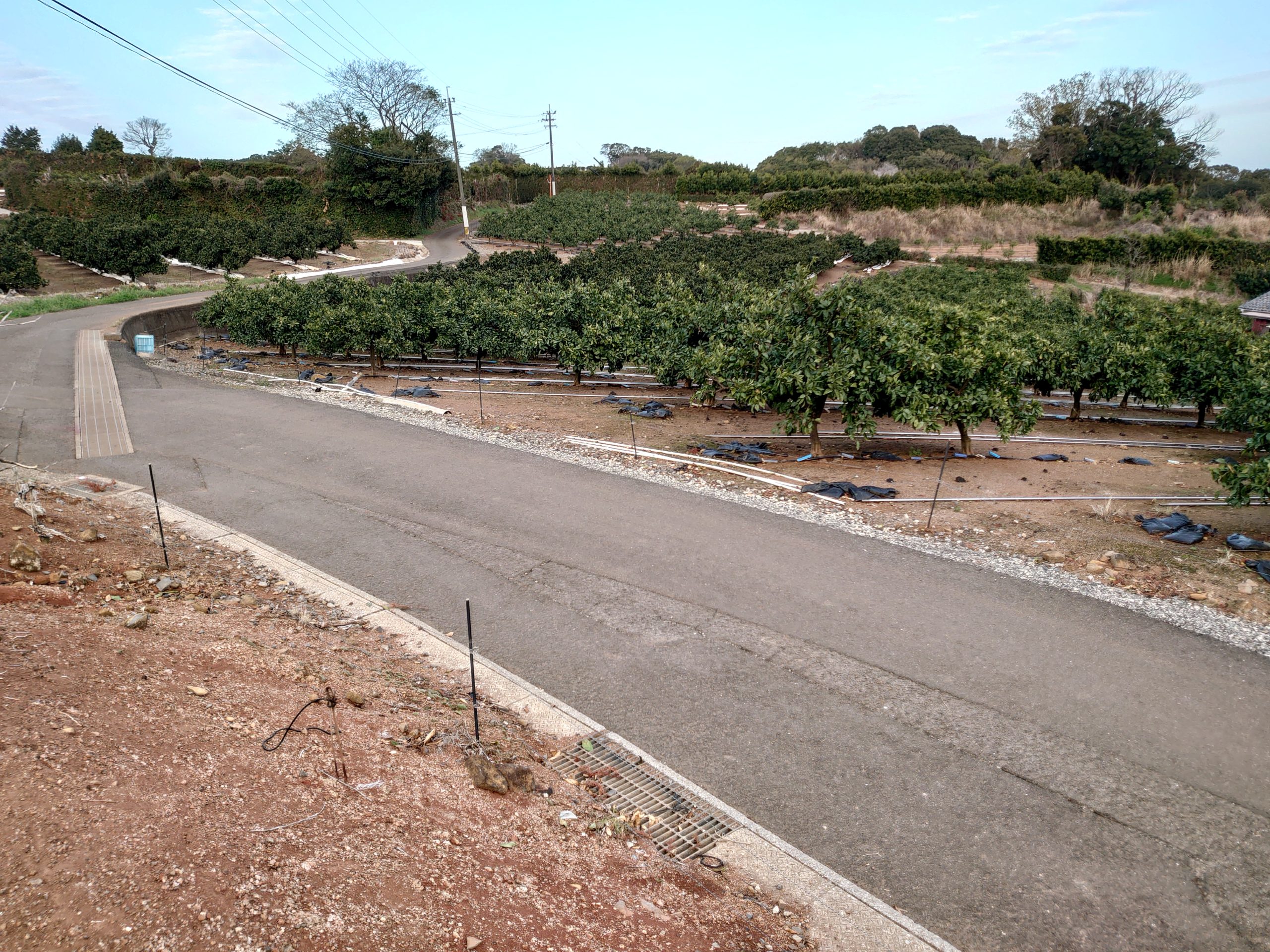 農家である私がなぜブログを始めたのか～なりたい自分になるために～
