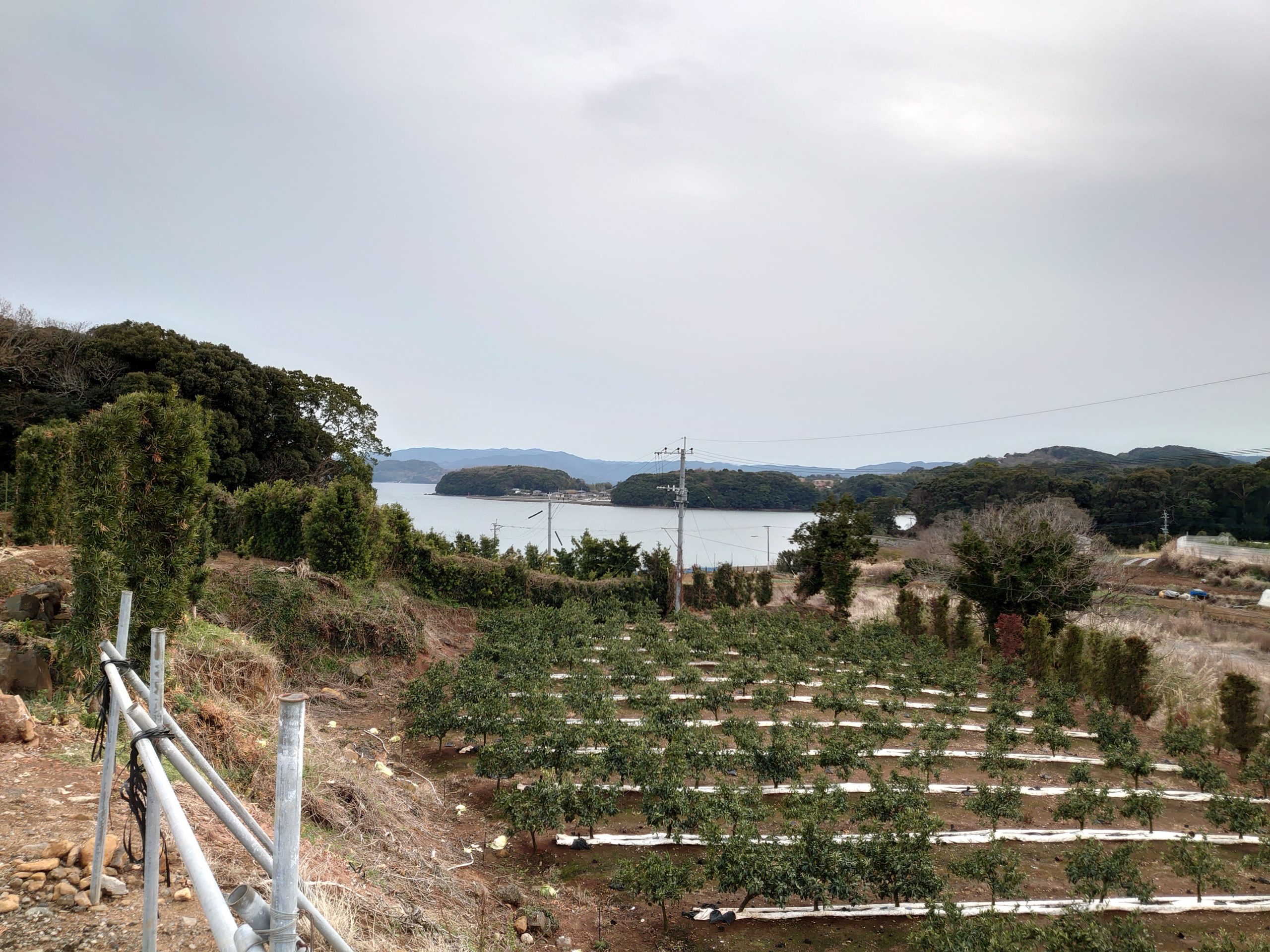 農業は若いうちに始める方が有利