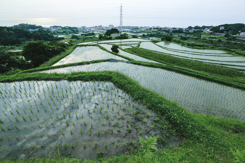 私の経営戦略『棚田理論』