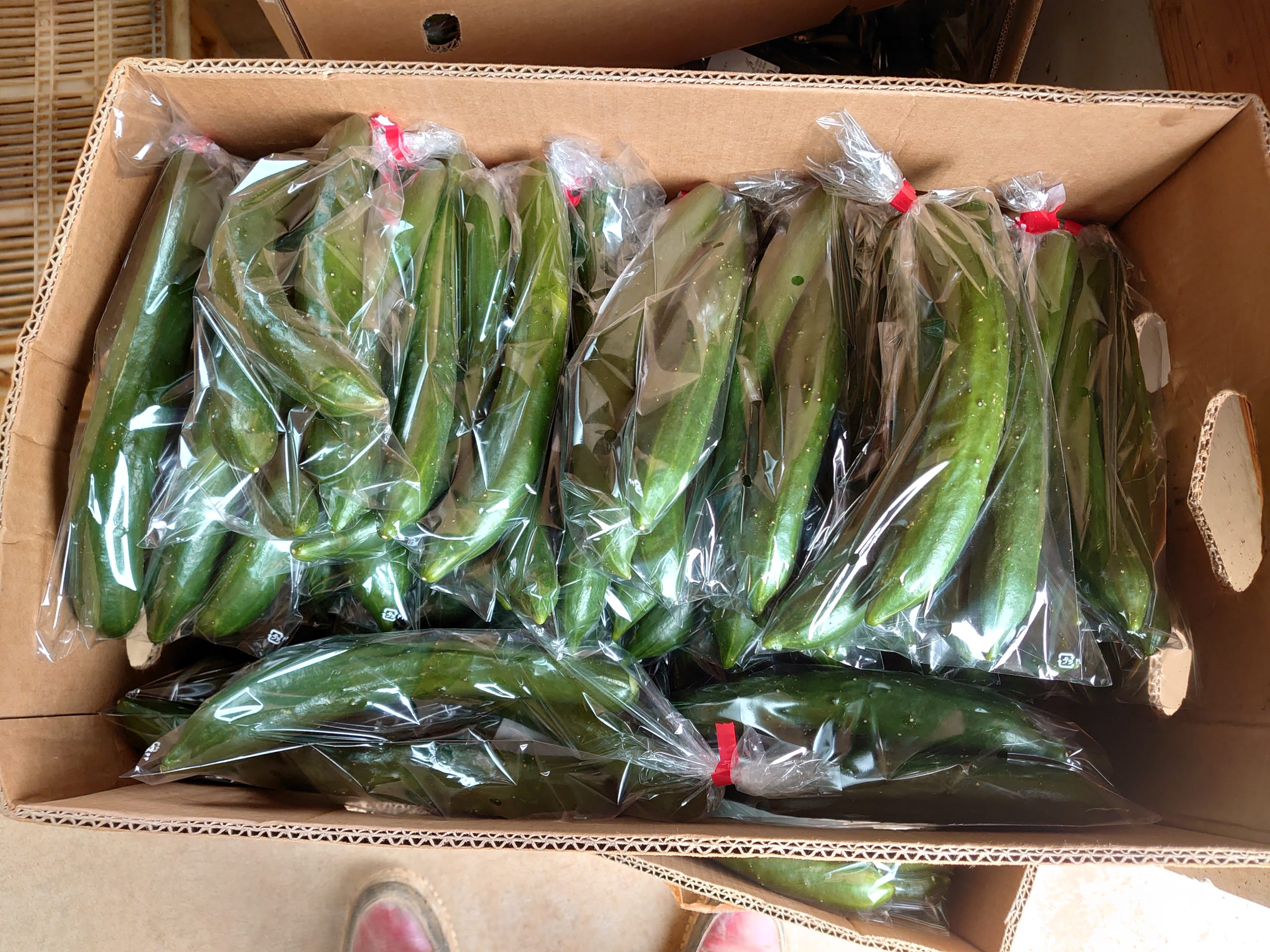 農産物直売所を活用しよう