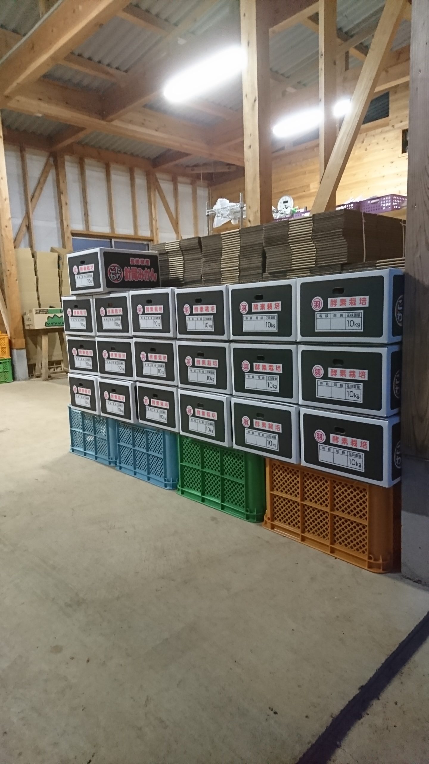 taboの独り言　～信念【大切なもの】ってもってますか？～